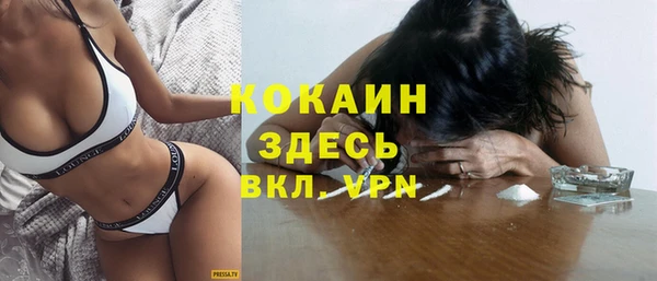 PSILOCYBIN Богородицк