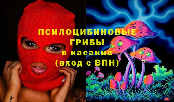 spice Михайловск