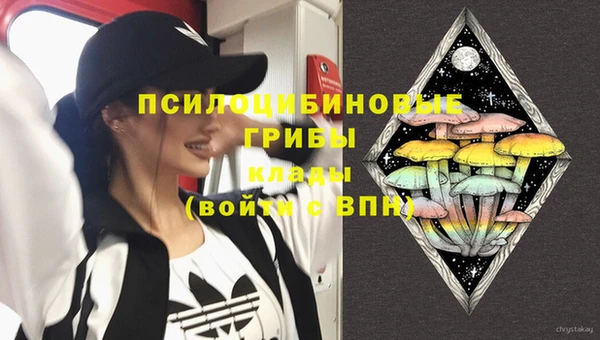 spice Михайловск
