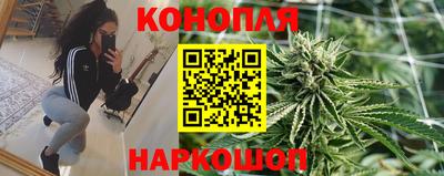 экстази Гай