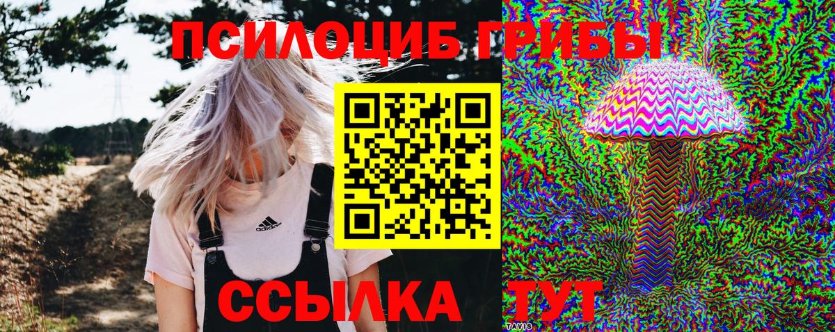 Псилоцибиновые грибы Psilocybe Иваново